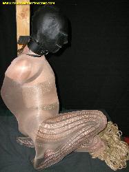 www.hosednhelpless.com - Shadowplayimaging.com thumbnail